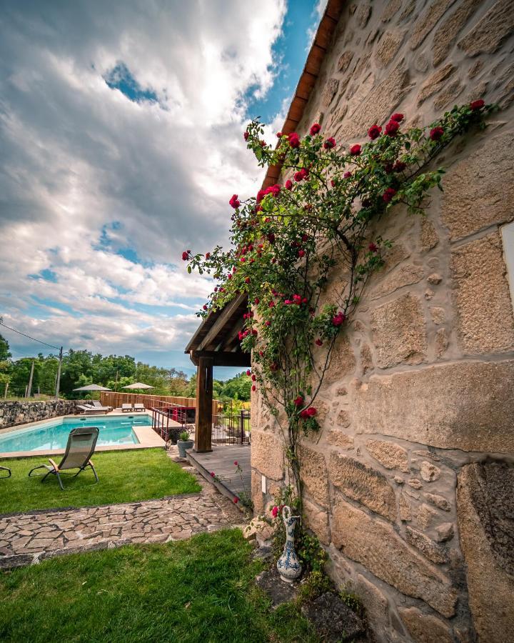 Casa Da Varzea - Serra Da Estrela Форнос де Алгодрес Екстериор снимка