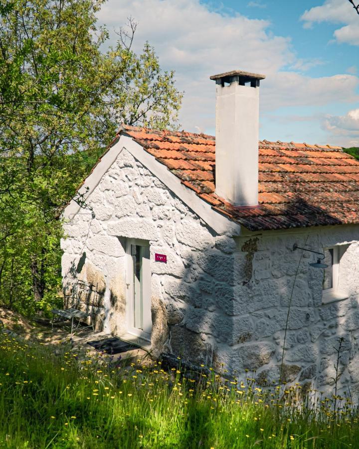 Casa Da Varzea - Serra Da Estrela Форнос де Алгодрес Екстериор снимка