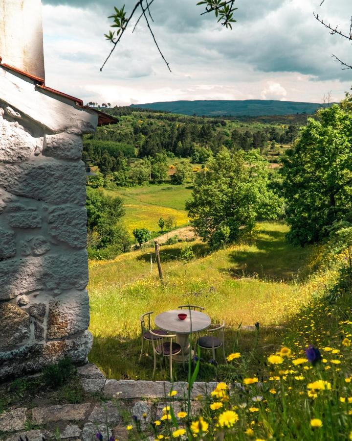 Casa Da Varzea - Serra Da Estrela Форнос де Алгодрес Екстериор снимка