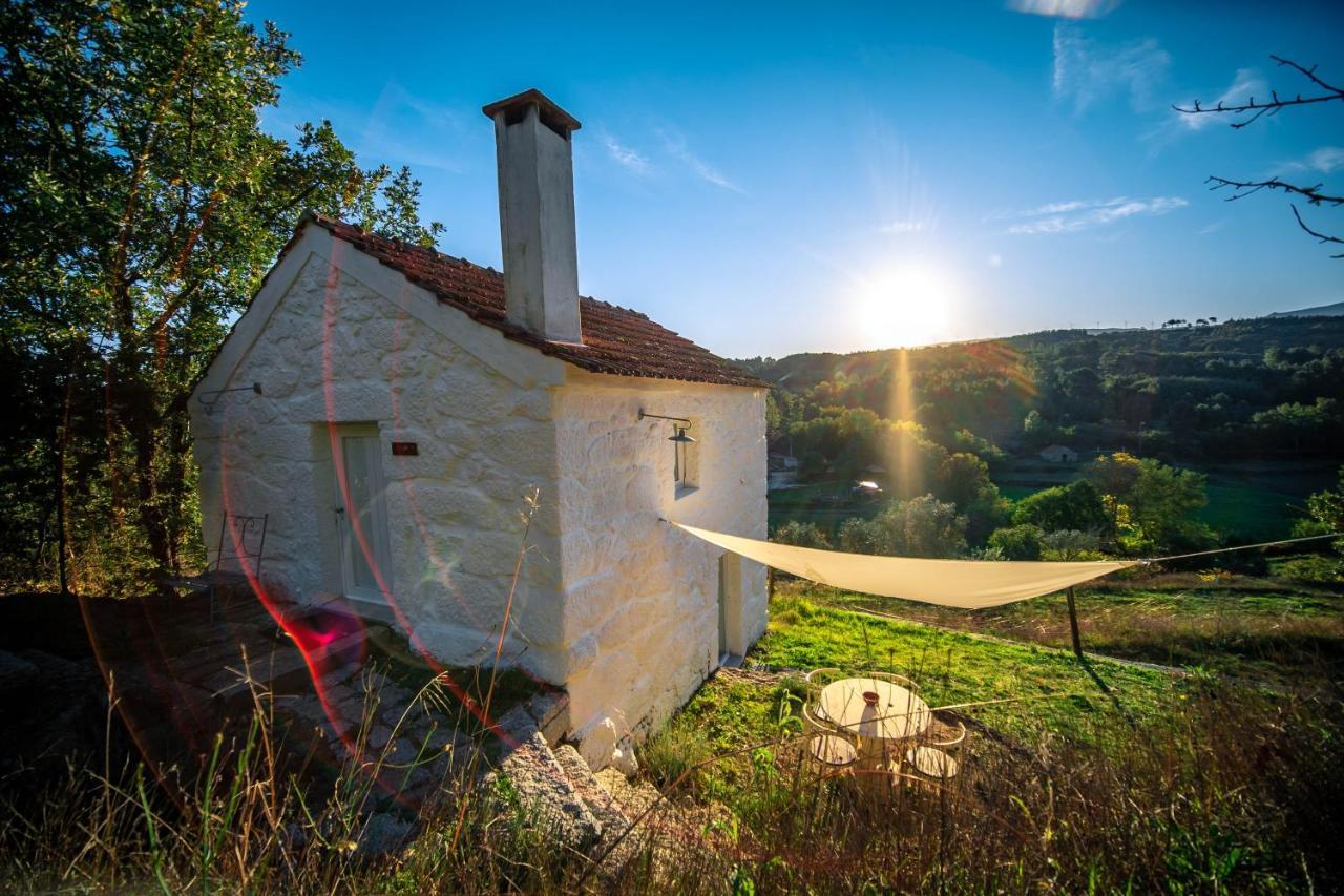 Casa Da Varzea - Serra Da Estrela Форнос де Алгодрес Екстериор снимка